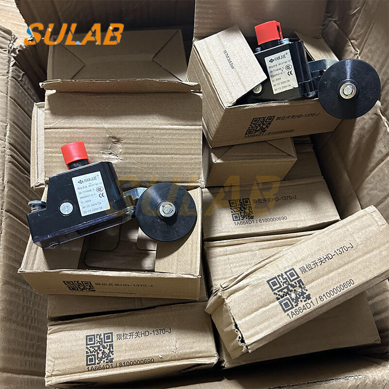 CR137-BZ-T2 Heavy-Duty Limit Switch with IP67 Rating, 2×SPDT Snap-Action Contacts and Steel Roller Lever